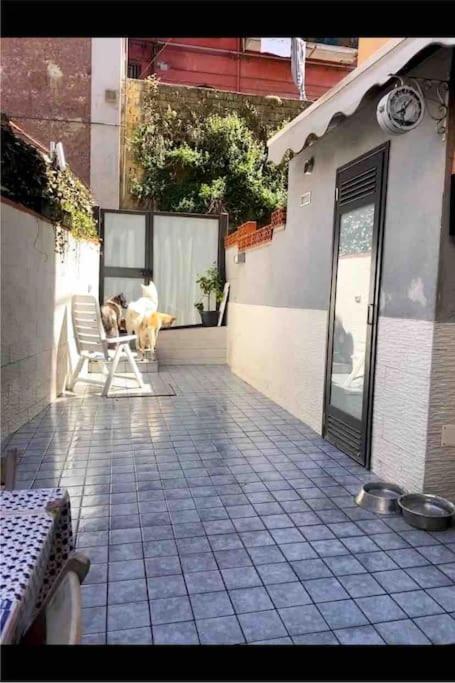 Napoli Centro Casa Con Due Camere E Cucina 외부 사진